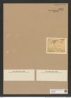 Triceratium radiatum Brightw. (de-Toni-Nr.: Genus 140, Species 3908) Zeichnungen Sammlung Grunow Nr. 7392 (NHMW-BOT-W0376463)